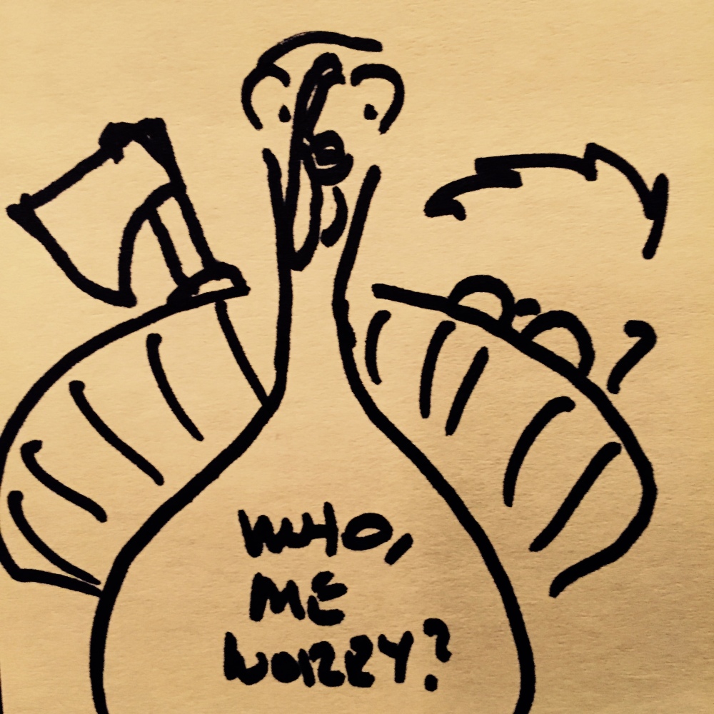 Turkey Facts to Know and Tell
