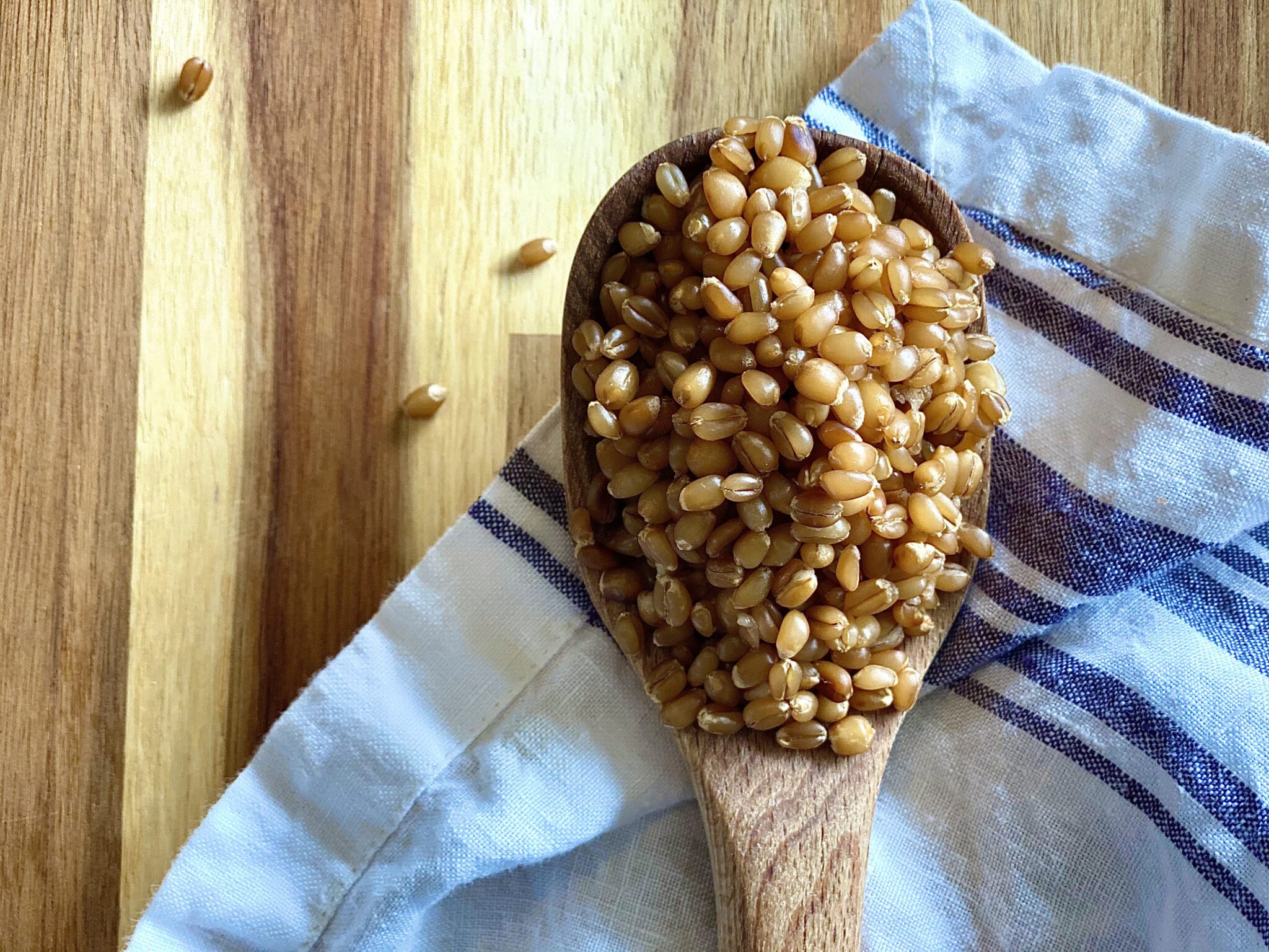 Can You Cook Wheat Berries In A Pressure Cooker at Rodney Corbett blog