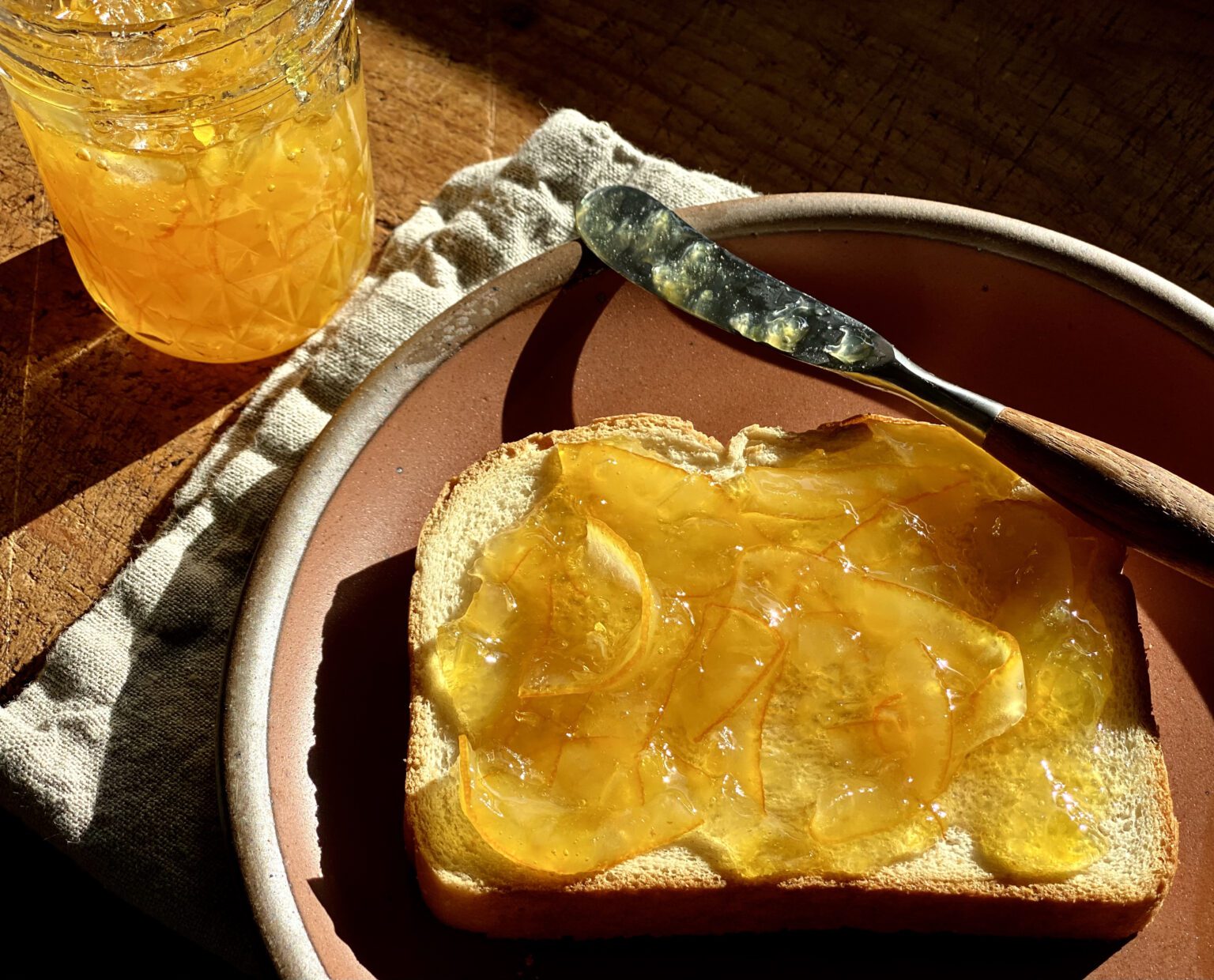 Orange Marmalade Alton Brown