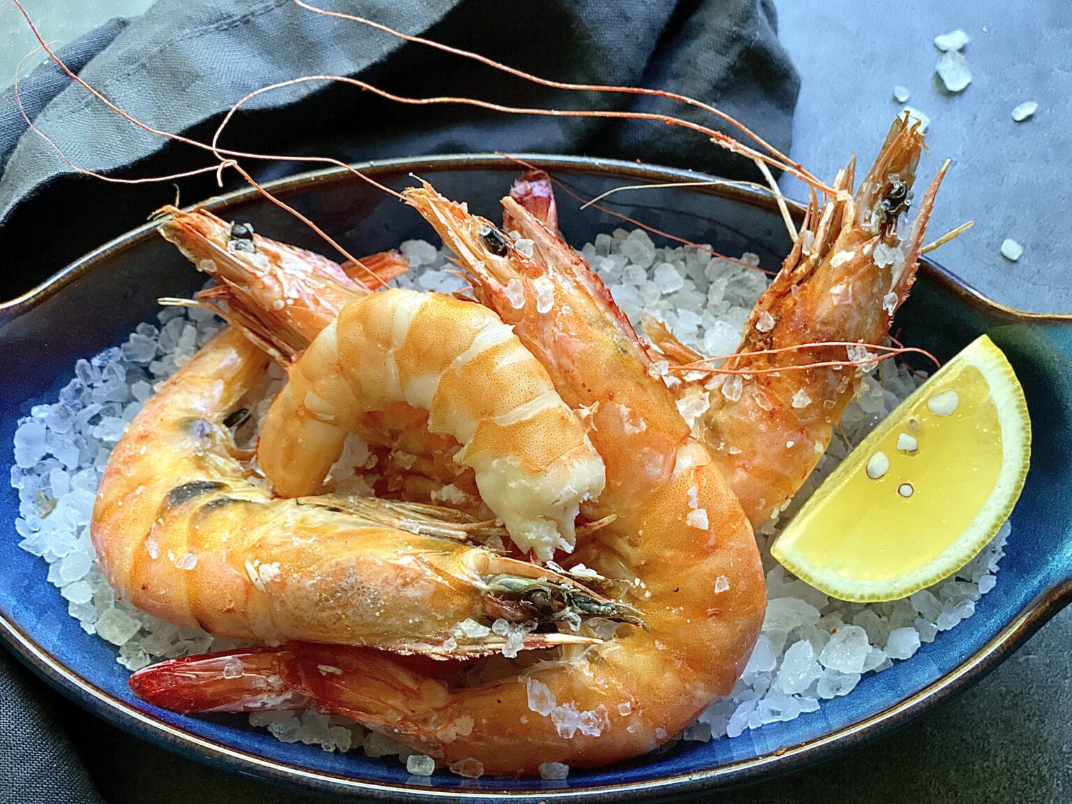 Roasted Beef Tenderloin in Salt Crust Recipe Alton Brown