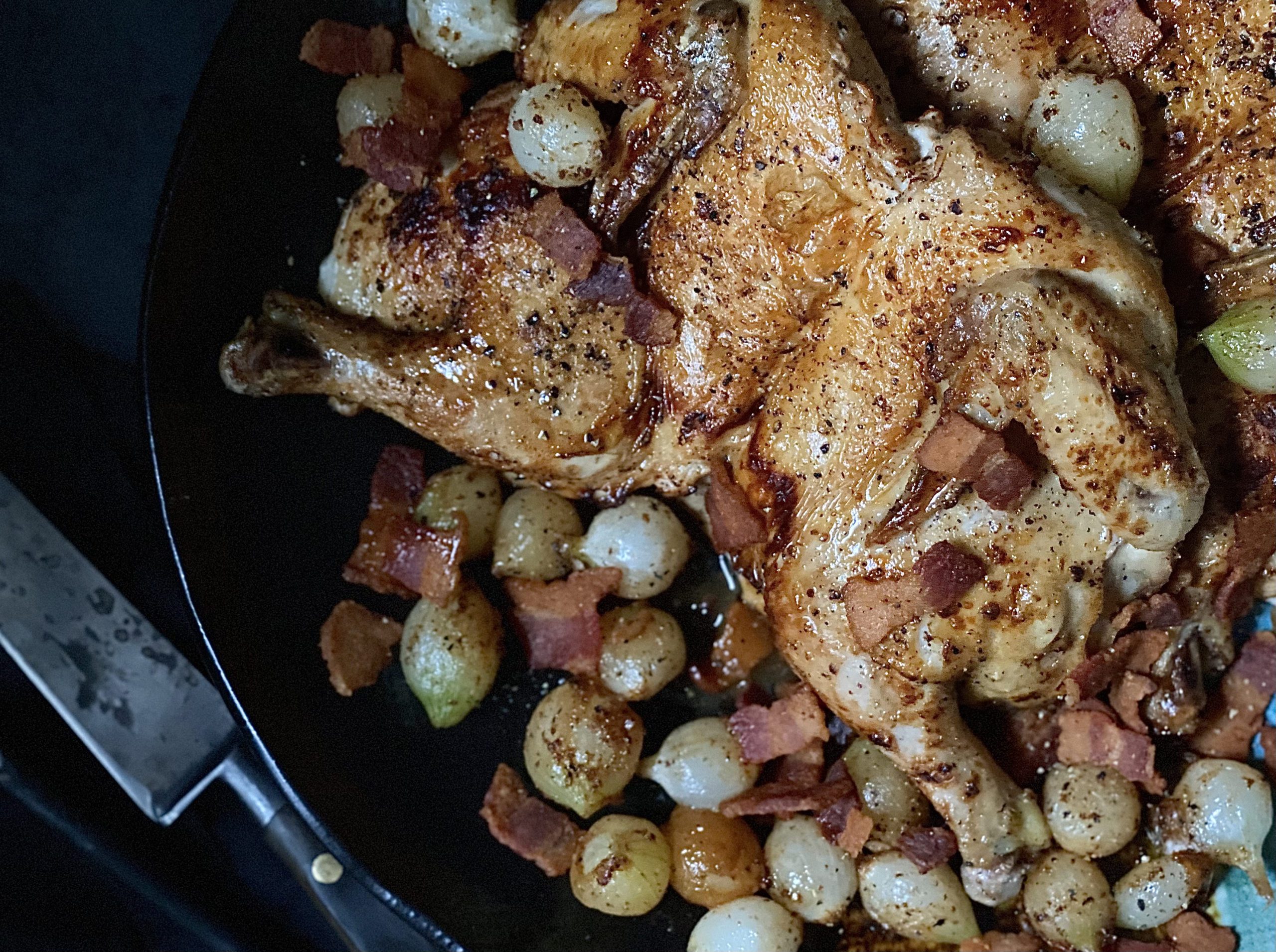 Cornish Game Hen with Bacon and Onions