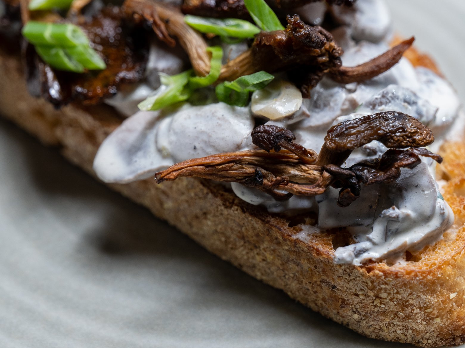 Mushroom stroganoff toast on a grey plate
