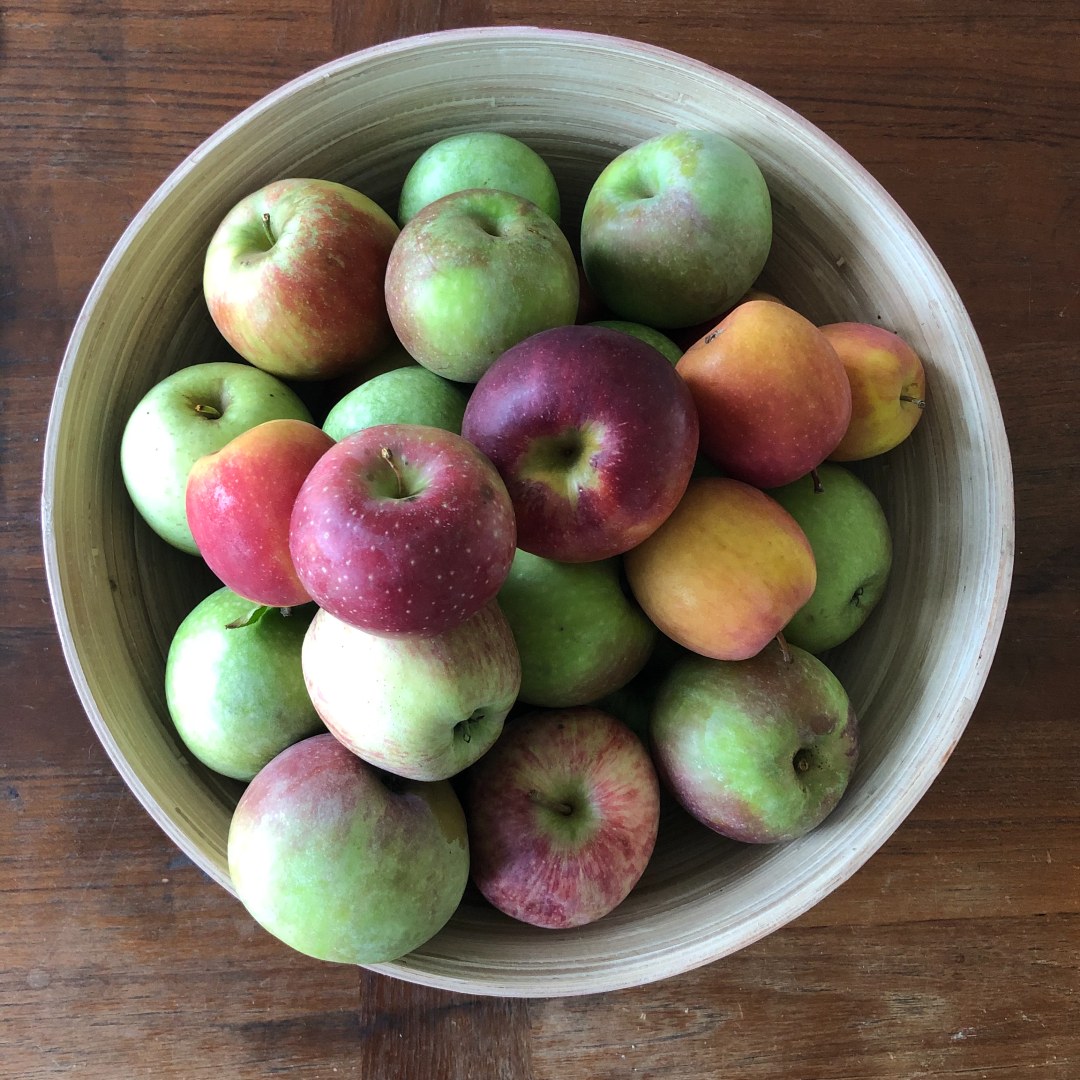 Bowl of gala, granny smith, and golden delicious apples on a wooden table.